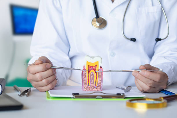 Best Emergency Tooth Extraction in Jay, OK